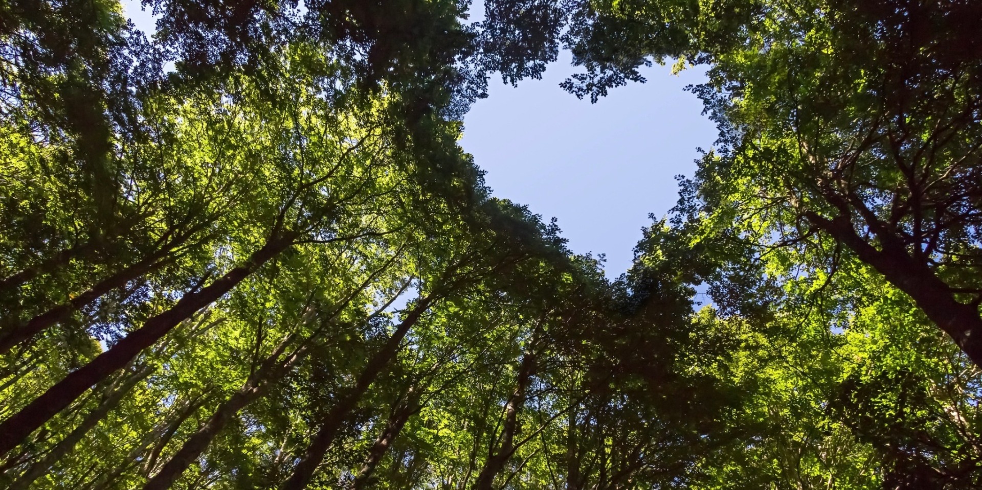 Tapahtuman oletuskuva